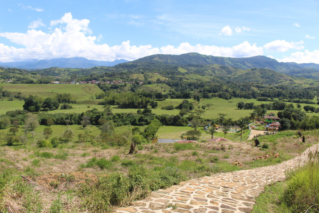 Lote en Charalá, lote CAPELLANÍA | Inmobiliaria Urbaken