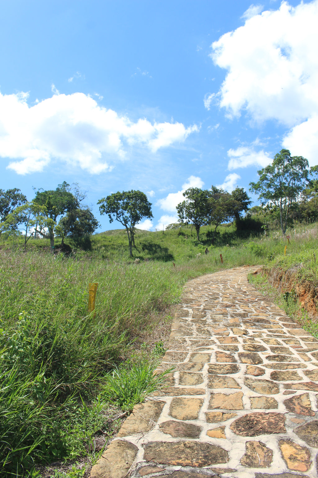 Lotes en Charalá, lote LAS PALMERAS | Inmobiliaria URBAKEN