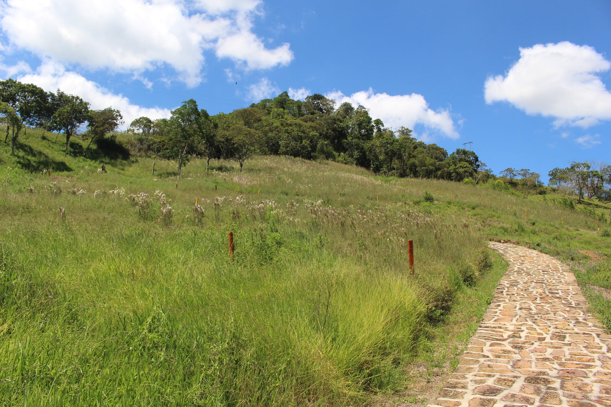 Lotes en Charalá, lote LAS FLORES | Inmobiliaria Urbaken