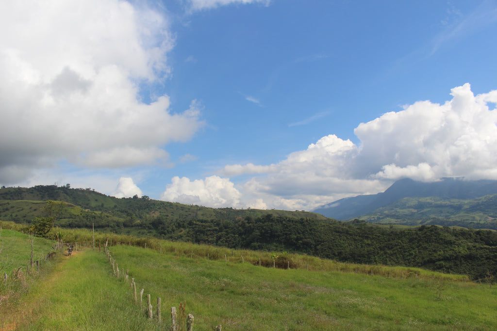 Lote en Charalá, “Cuna de la Libertad”| Inmobiliaria Urbaken.