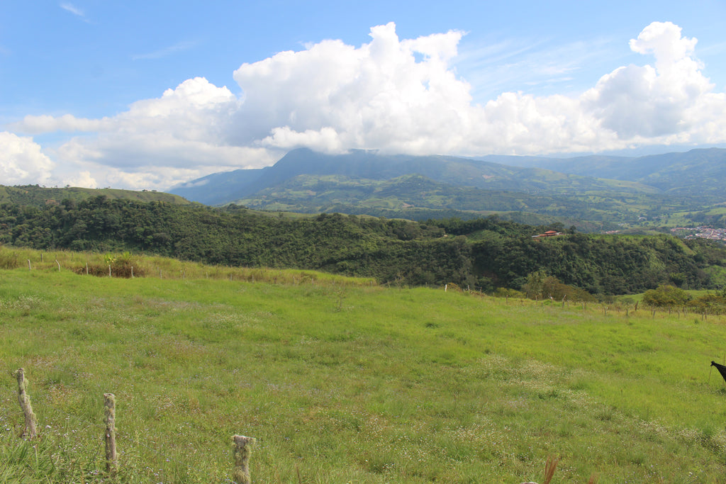 Lote en Charalá, “Cuna de la Libertad”| Inmobiliaria Urbaken.