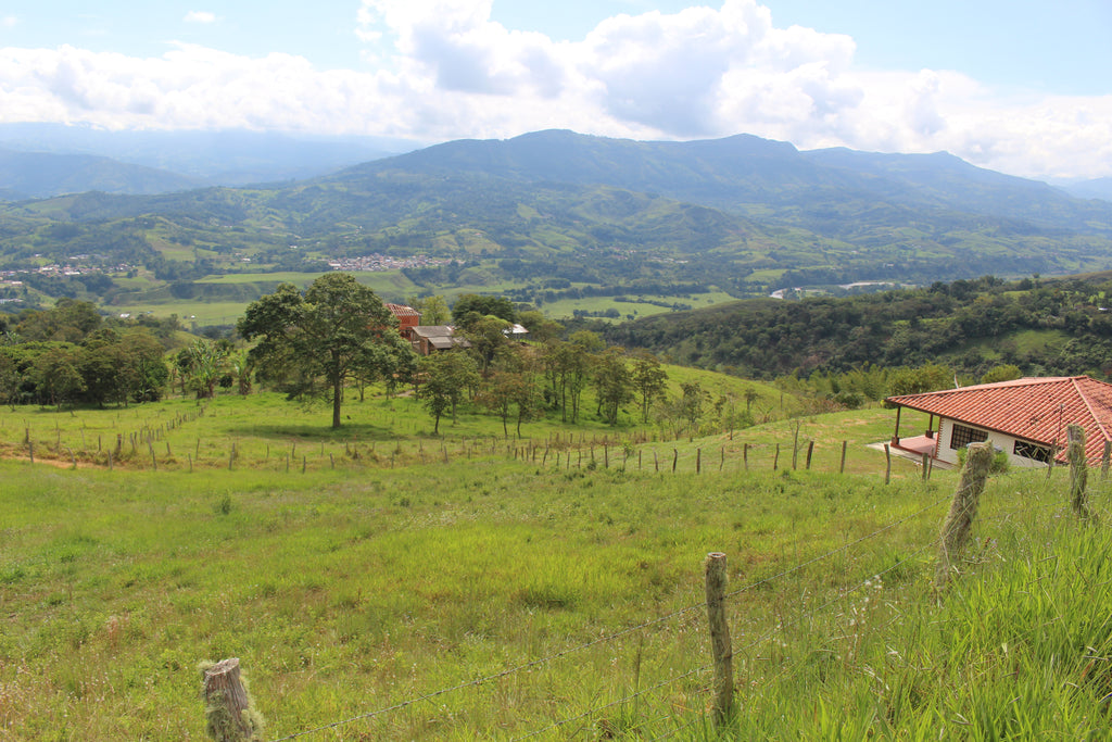 Lote en Charalá, “Cuna de la Libertad”| Inmobiliaria Urbaken.