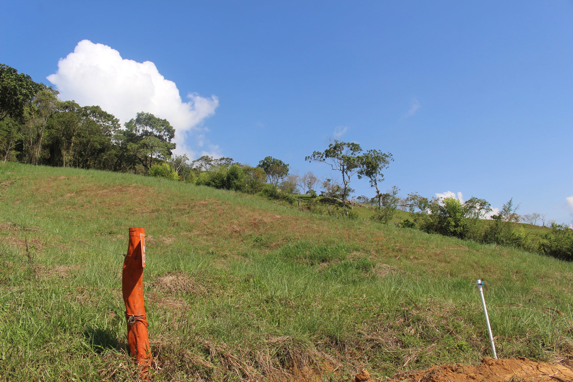 Lotes en Charalá, lote LAS PALMERAS | Inmobiliaria URBAKEN