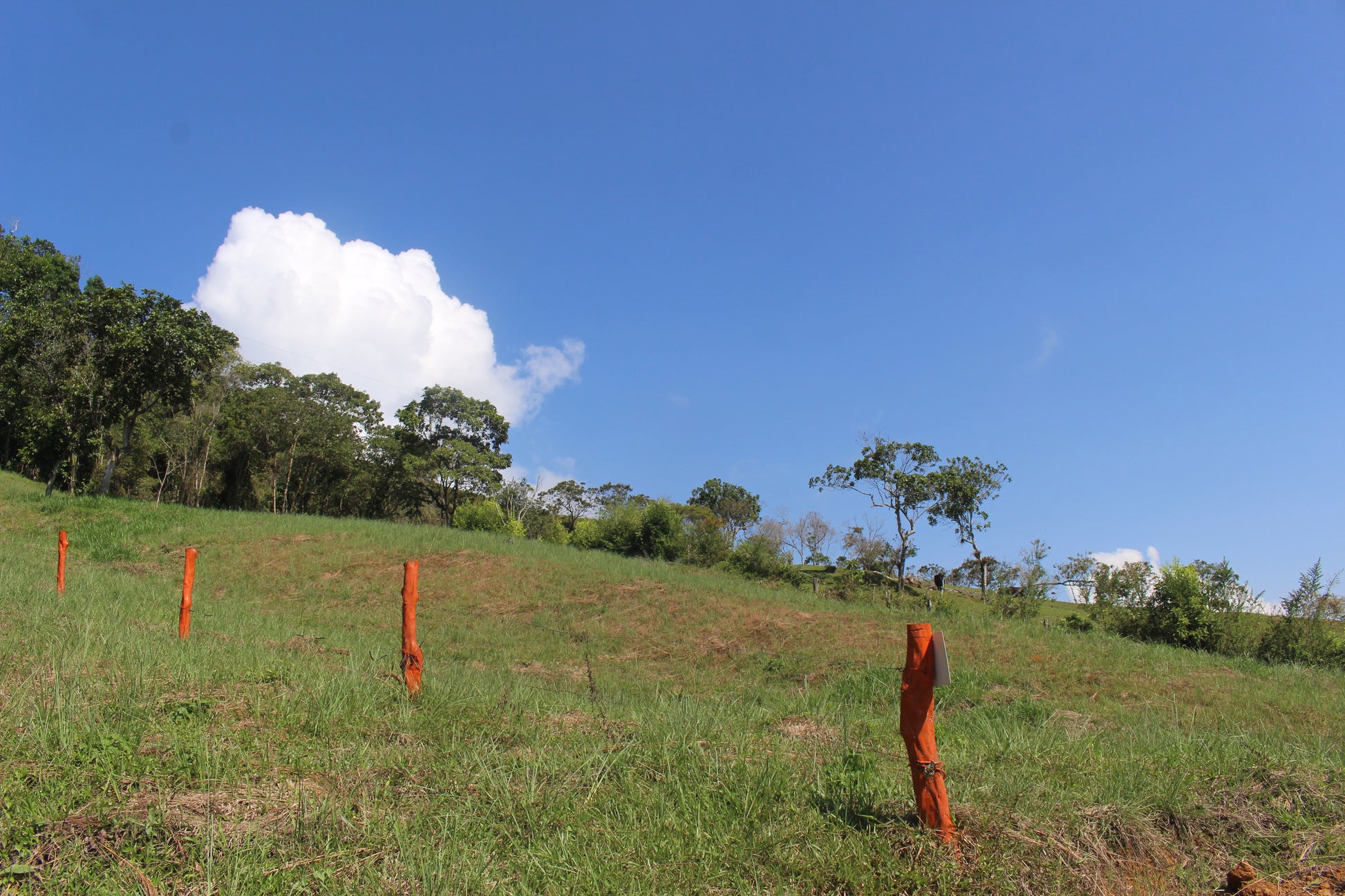 Lotes en Charalá, lote LAS PALMERAS | Inmobiliaria URBAKEN