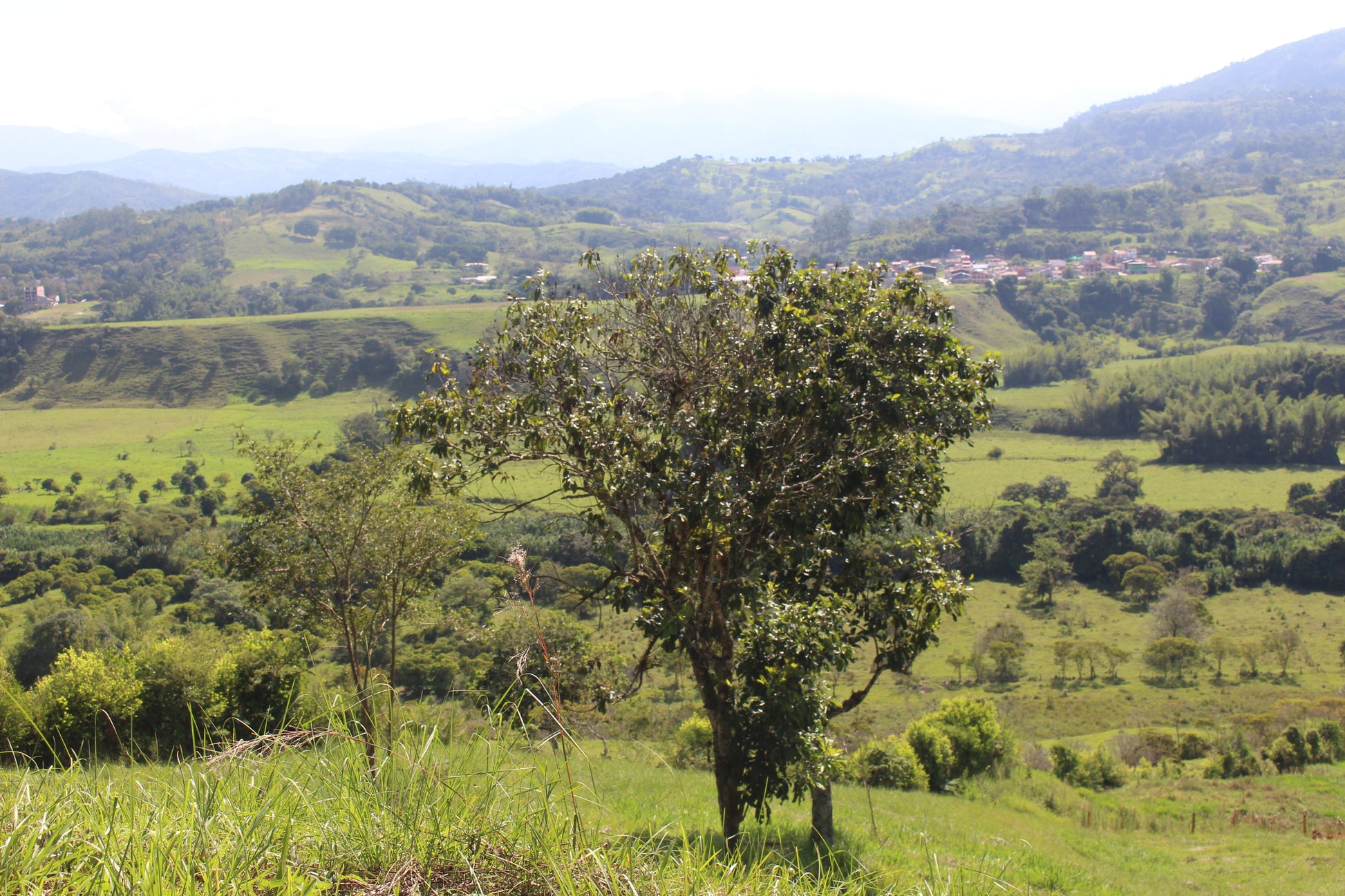 Lotes en Charalá, lote LAS PALMERAS | Inmobiliaria URBAKEN