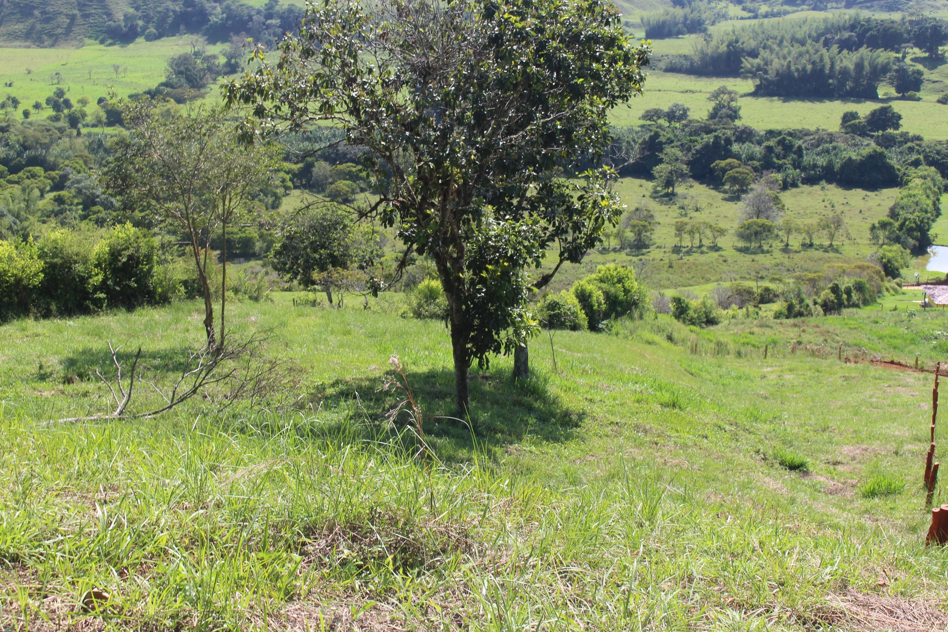 Lotes en Charalá, lote LAS PALMERAS | Inmobiliaria URBAKEN