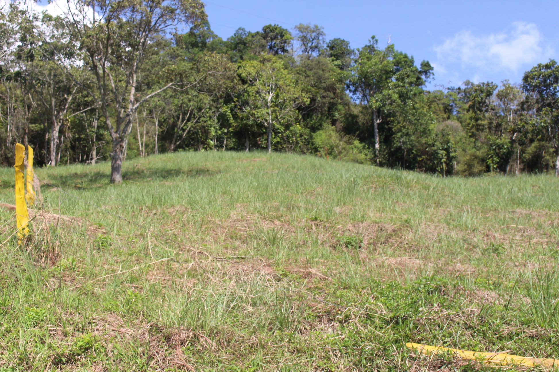 Lotes en Charalá, lote PIENTA | Inmobiliaria URBAKEN