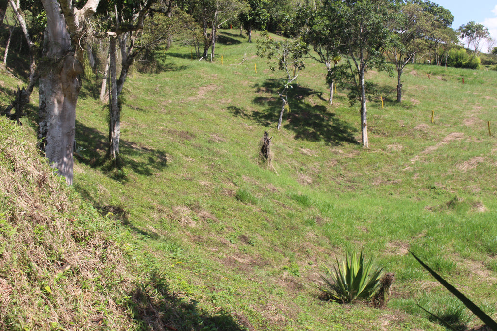 Lotes en Charalá, lote PIENTA | Inmobiliaria URBAKEN