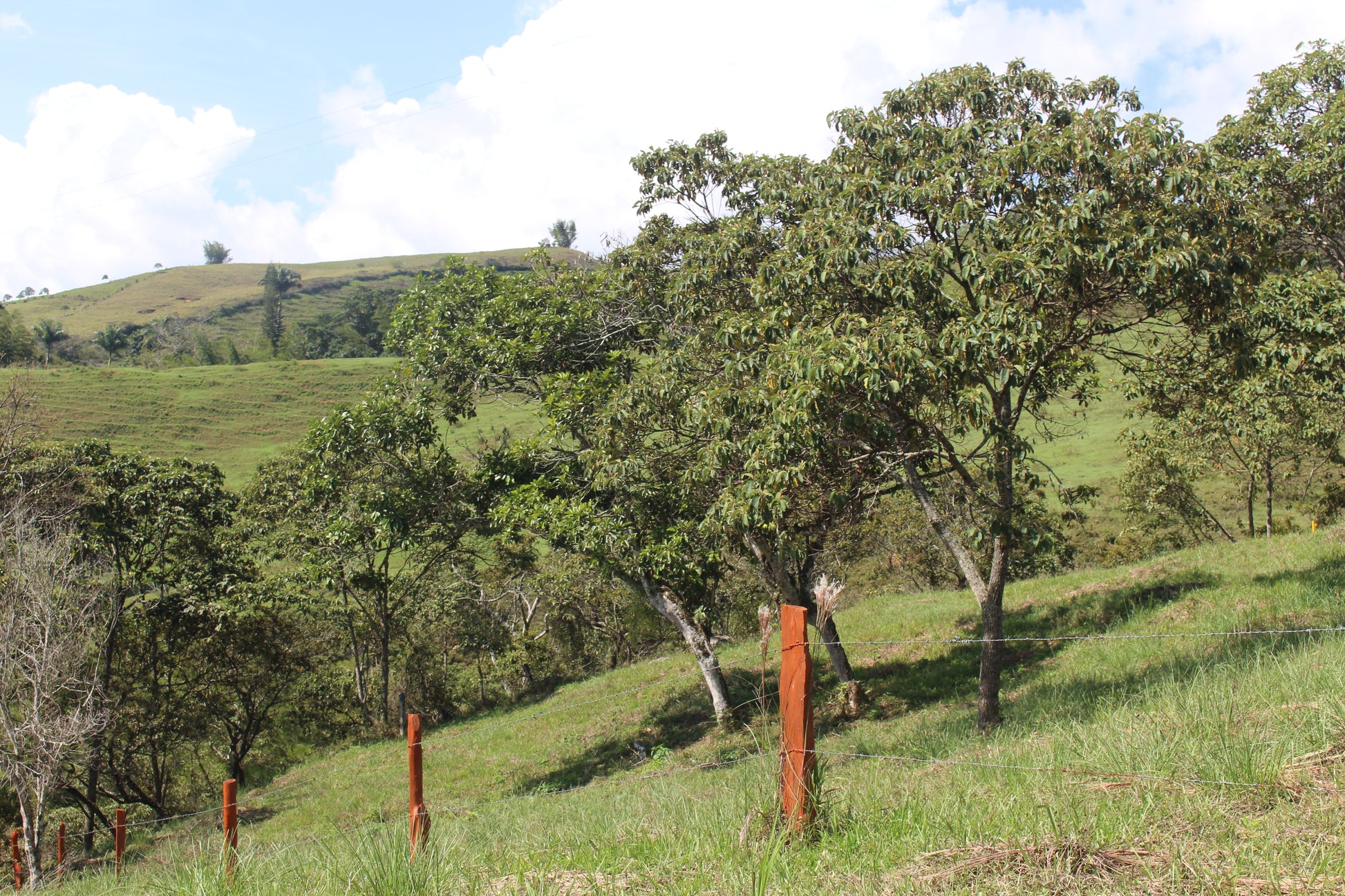 Lotes en Charalá, lote GRIMA | Inmobiliaria Urbaken