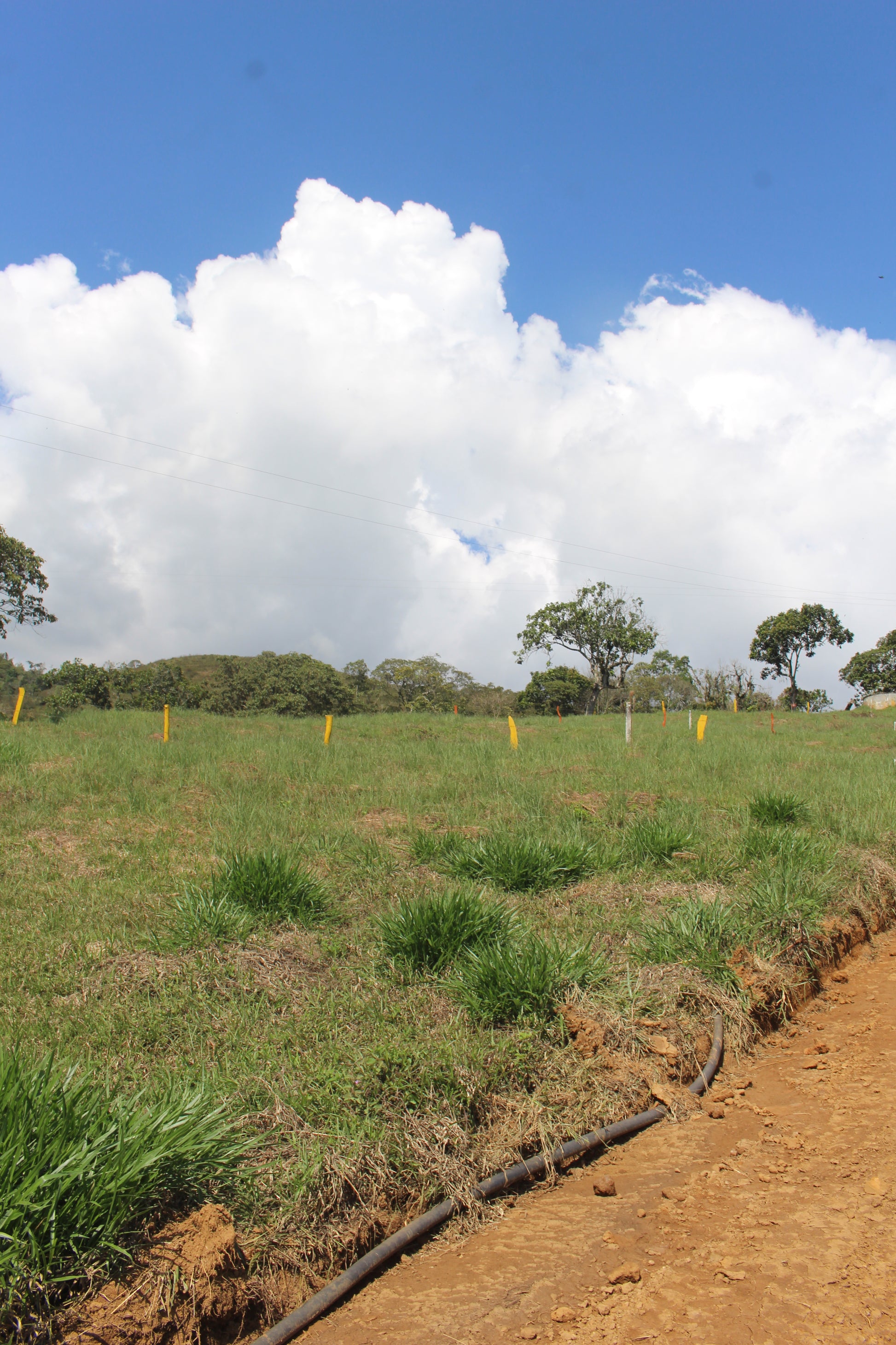 Lote en Charalá, lote CAPELLANÍA | Inmobiliaria Urbaken