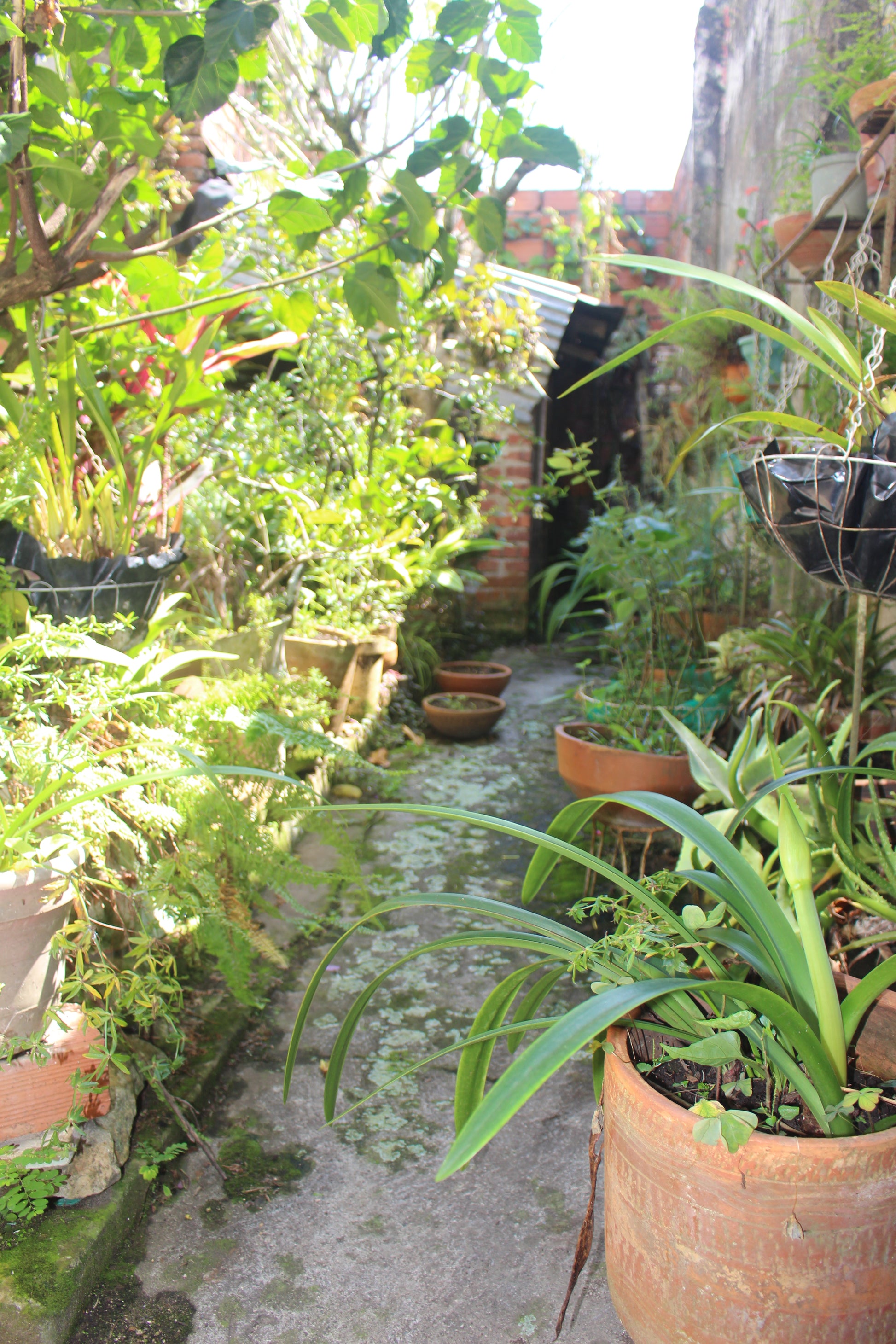 Casa Colonial en Charalá + Lote Extra | Inmobiliaria Urbaken