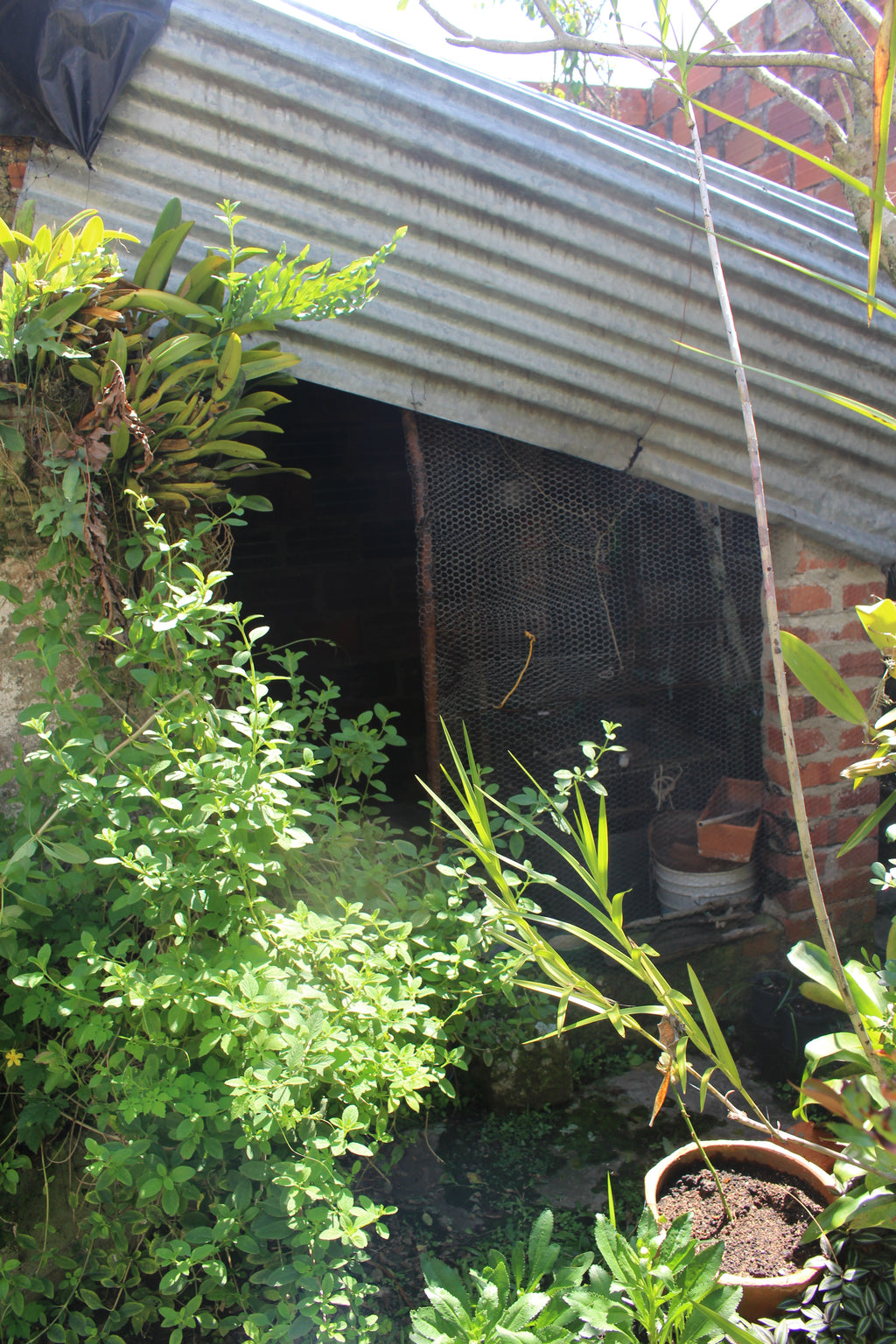 Casa Colonial en Charalá + Lote Extra | Inmobiliaria Urbaken