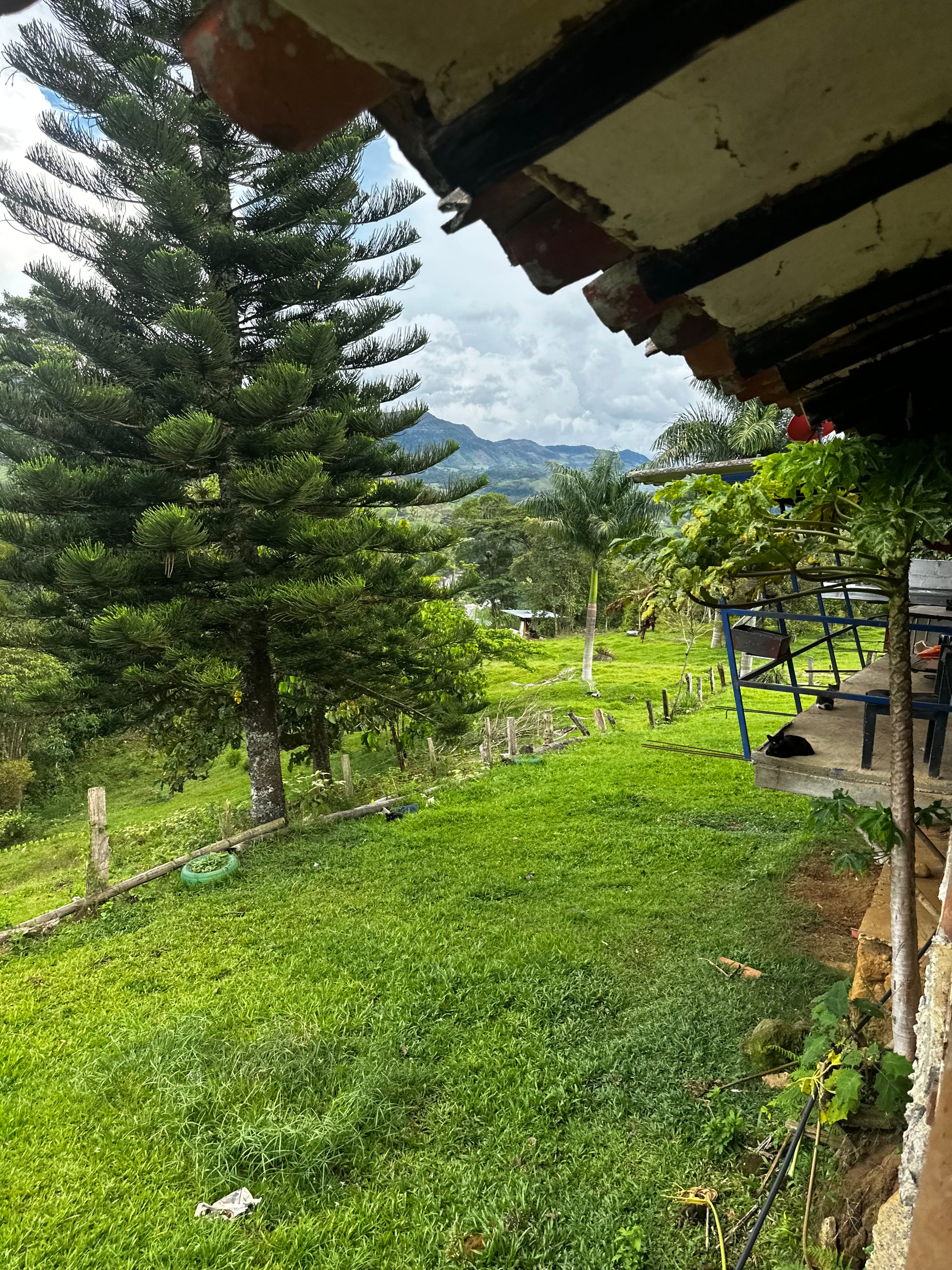 Finca "La Macana" con 5 Pozos y Cascada en Charalá | Inmobiliaria Urbaken