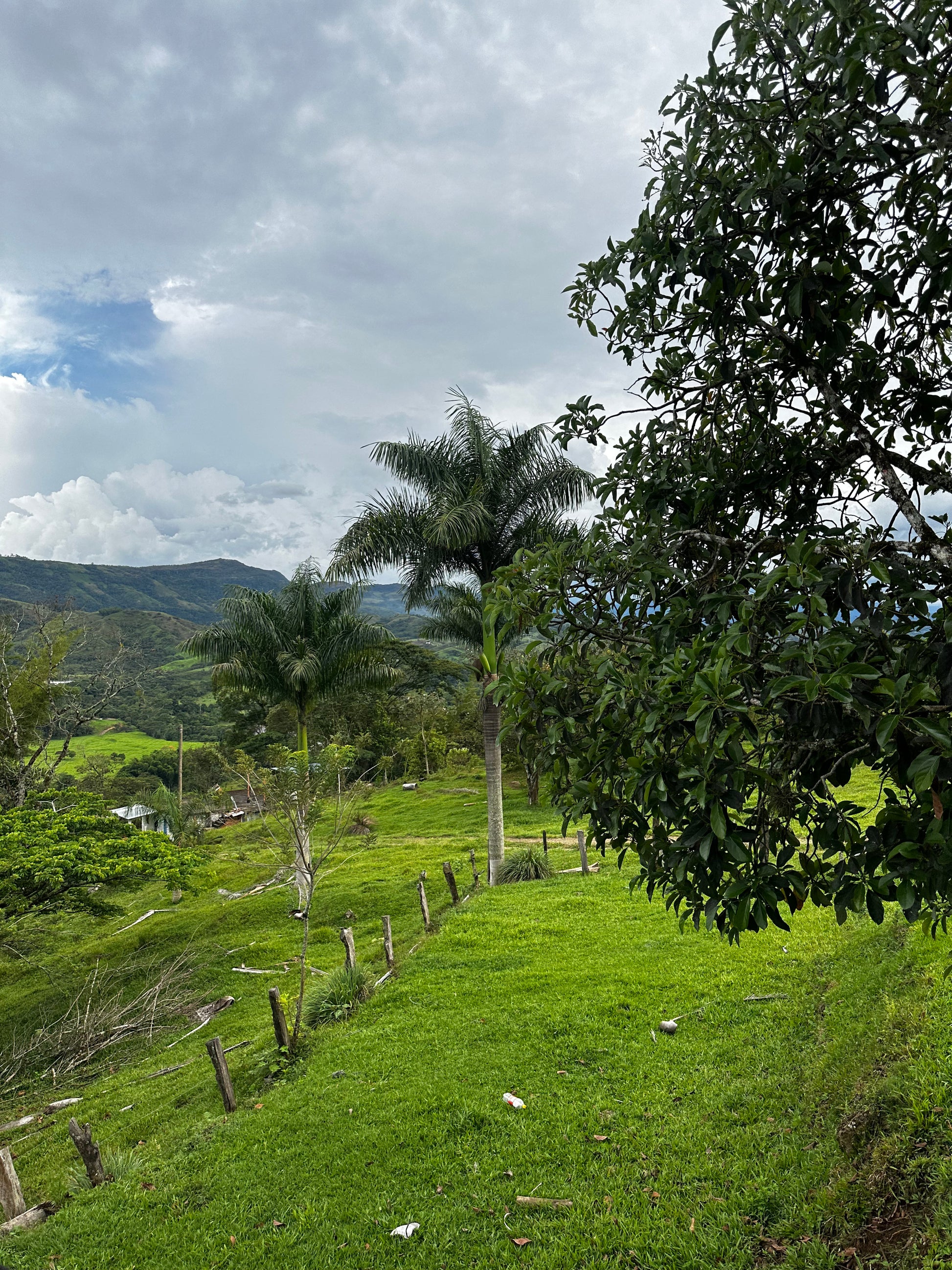 Finca "La Macana" con 5 Pozos y Cascada en Charalá | Inmobiliaria Urbaken