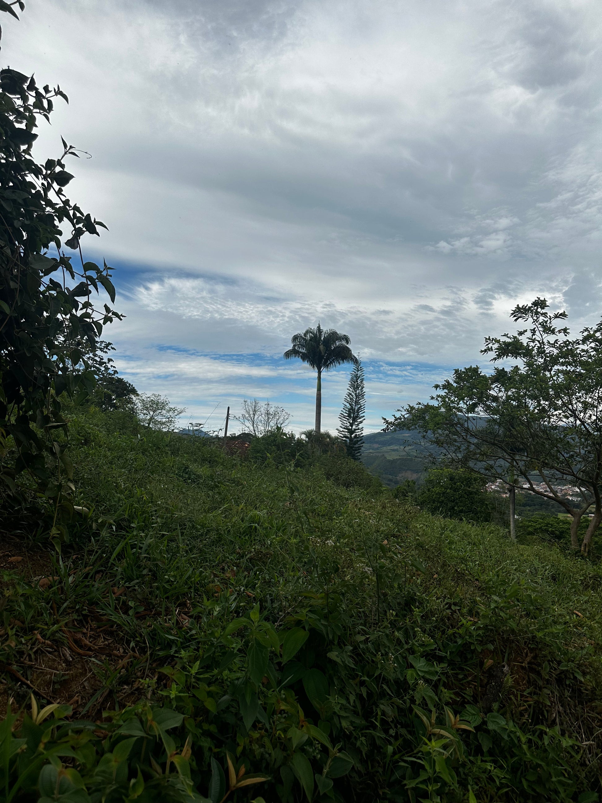 Finca "La Macana" con 5 Pozos y Cascada en Charalá | Inmobiliaria Urbaken